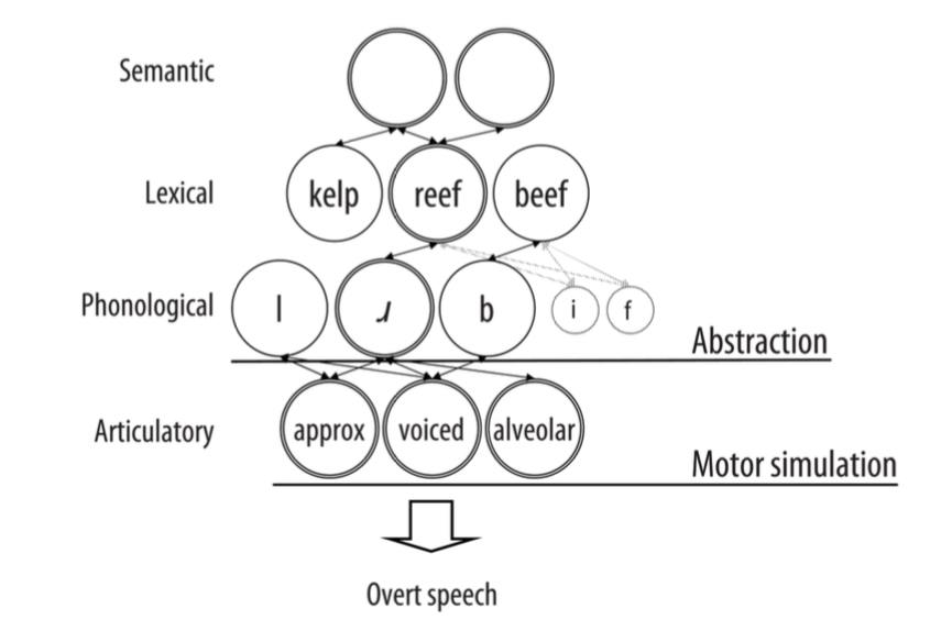Hypotheses regarding inner speech's locus of generation. Depending on the framework, inner speech is thought to be specified at an articulatory level (motor simulation view) or not (abstraction view). Figure from Oppenheim \& Dell (2010).